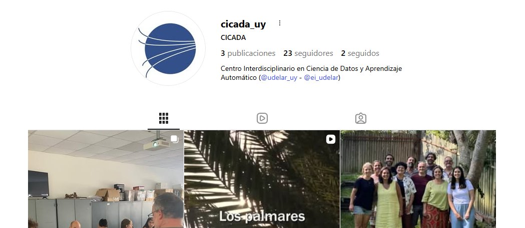 cicada.uy tweet media