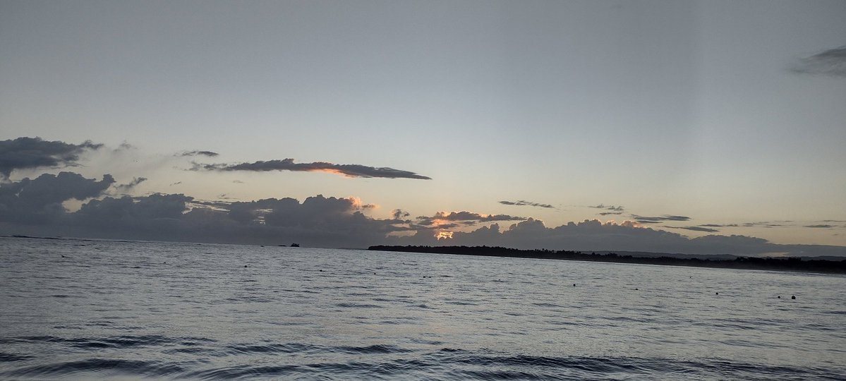 Hélène St-Denis tweet media