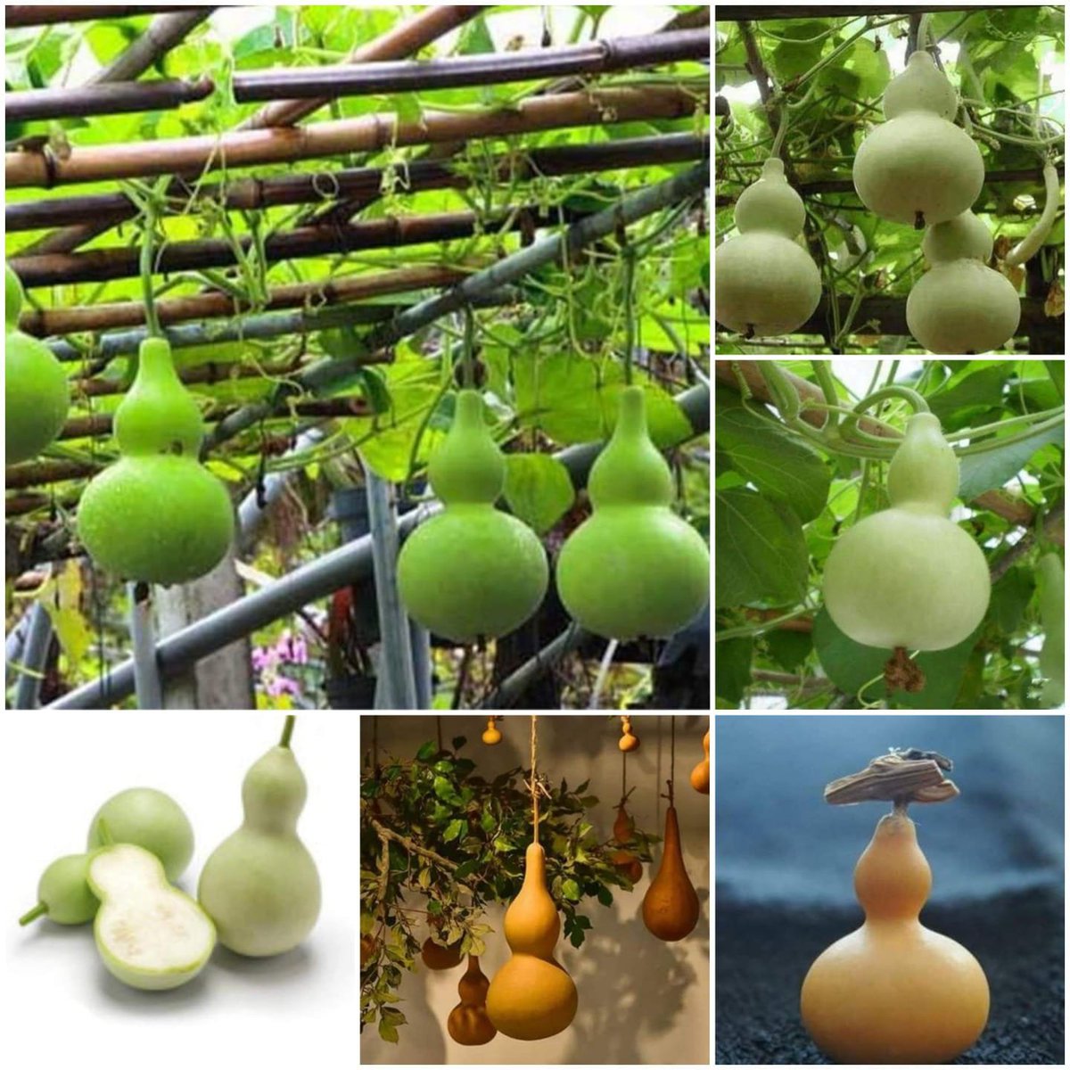 Jason W - AI tweet media