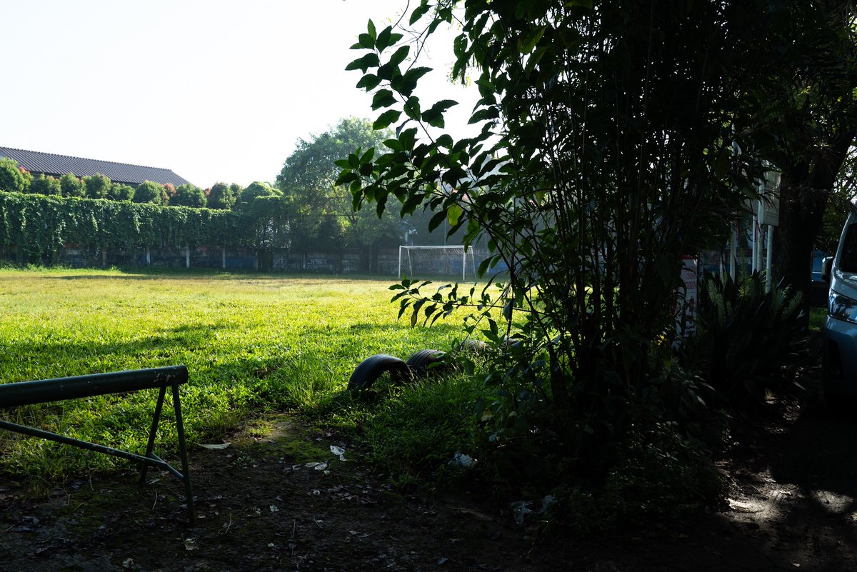 Toro Elmar tweet media