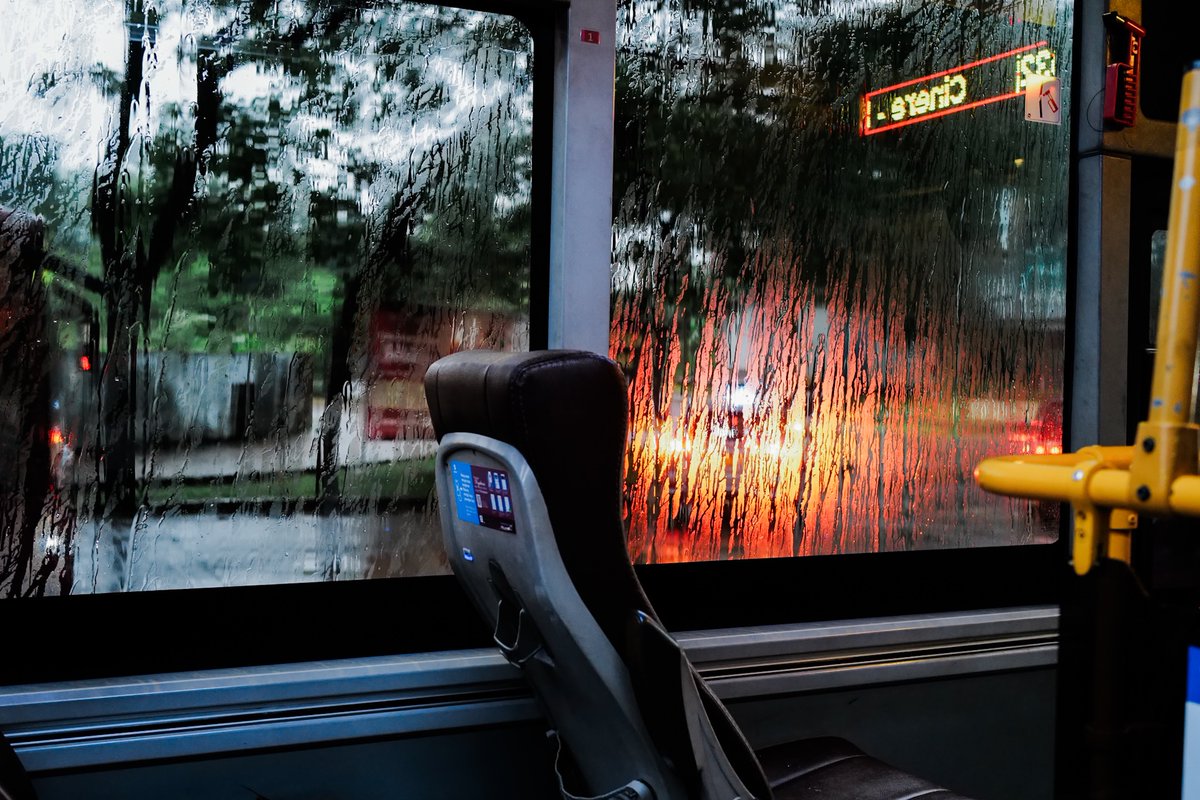 Toro Elmar tweet media