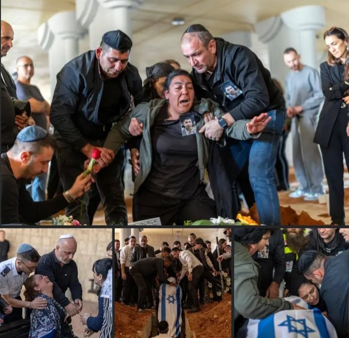 يمني حر 🇾🇪 tweet media