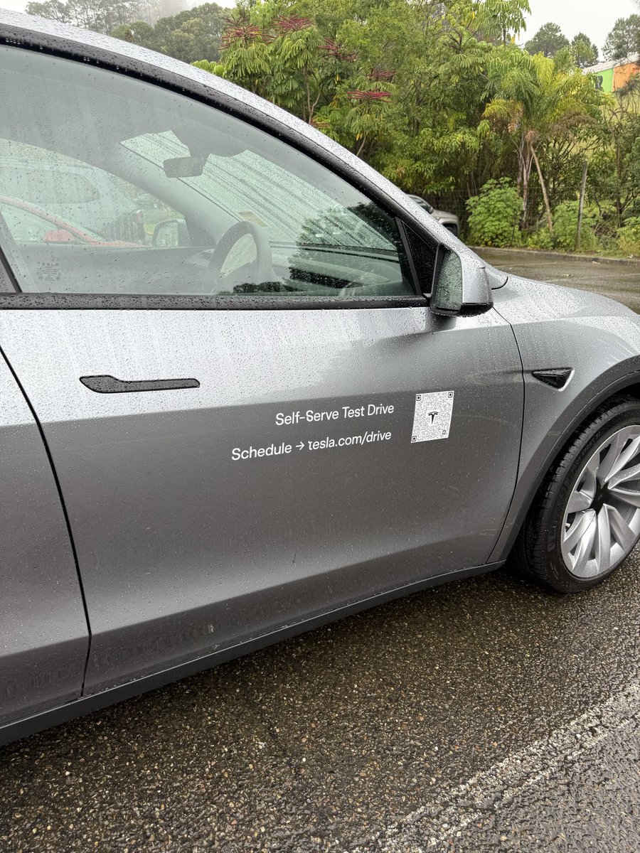 Tesla Investor tweet media