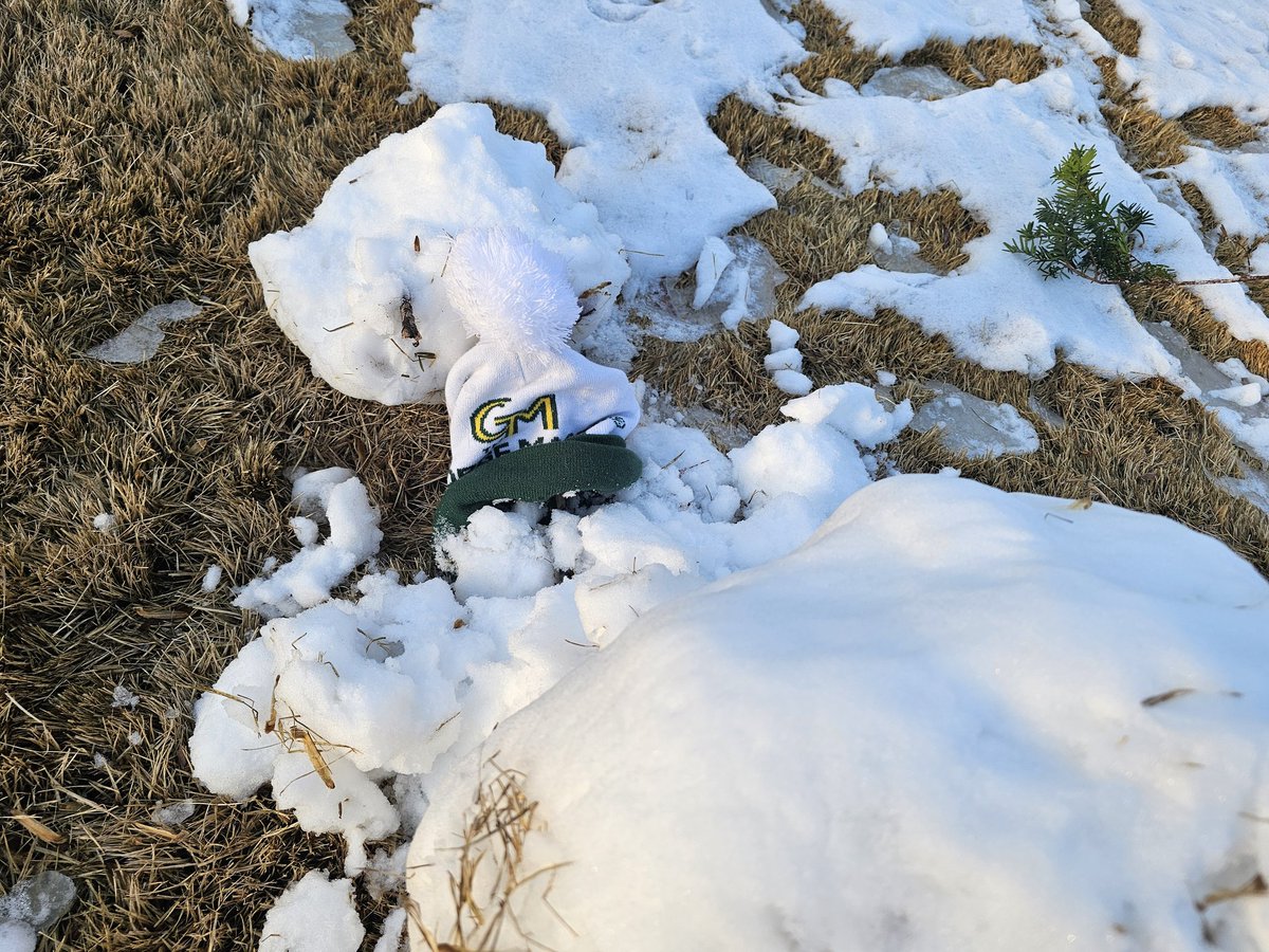 Bobby Bancroft tweet media