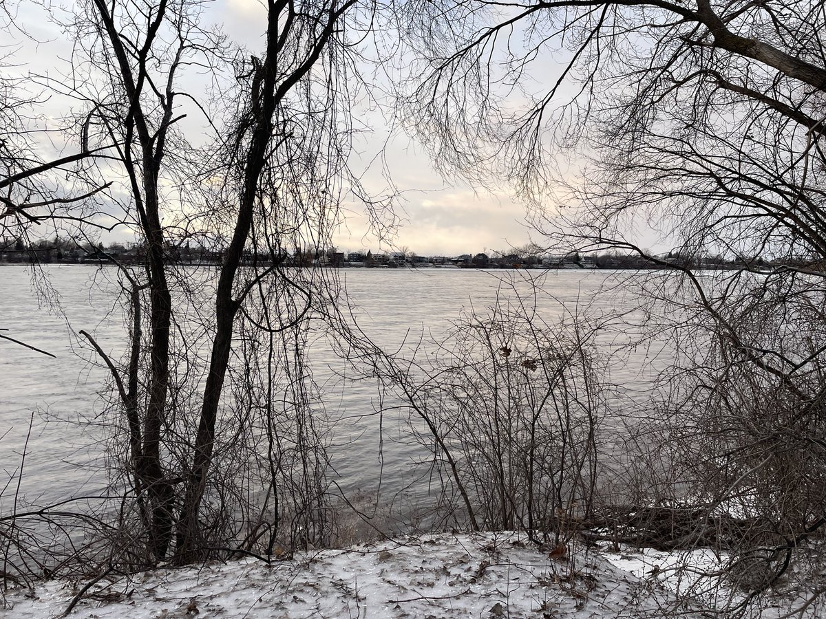 ｒ＊ｆｉｎａ tweet media