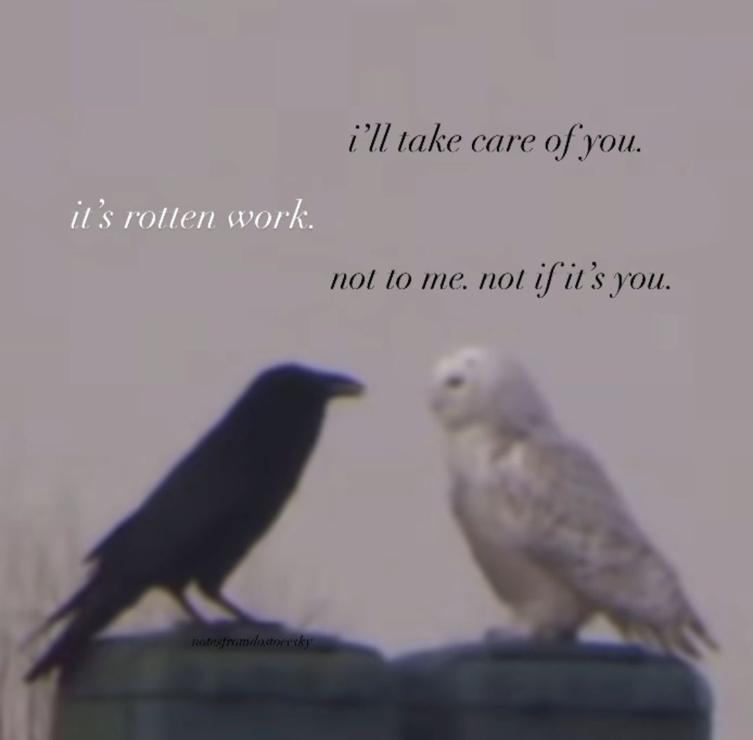 Synexdoche (@amor_fatti) on Twitter photo 