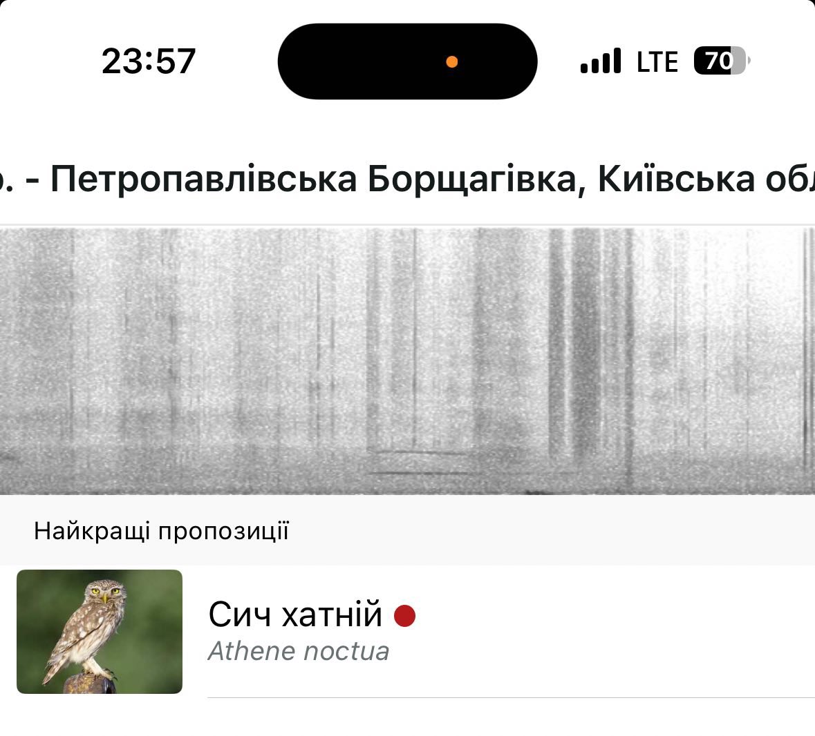 Ih ti andr en ko tweet media