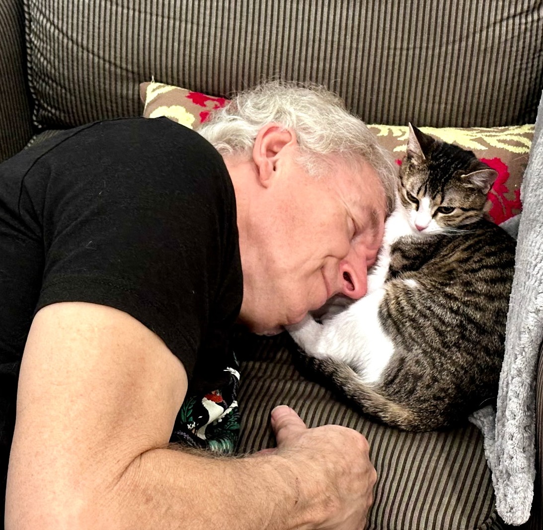 Cat Matchers tweet media