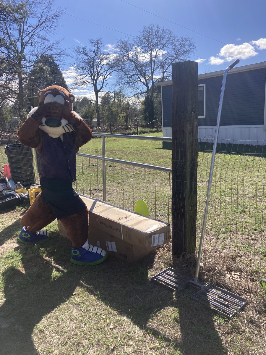 Olly Otter ❇️ tweet media