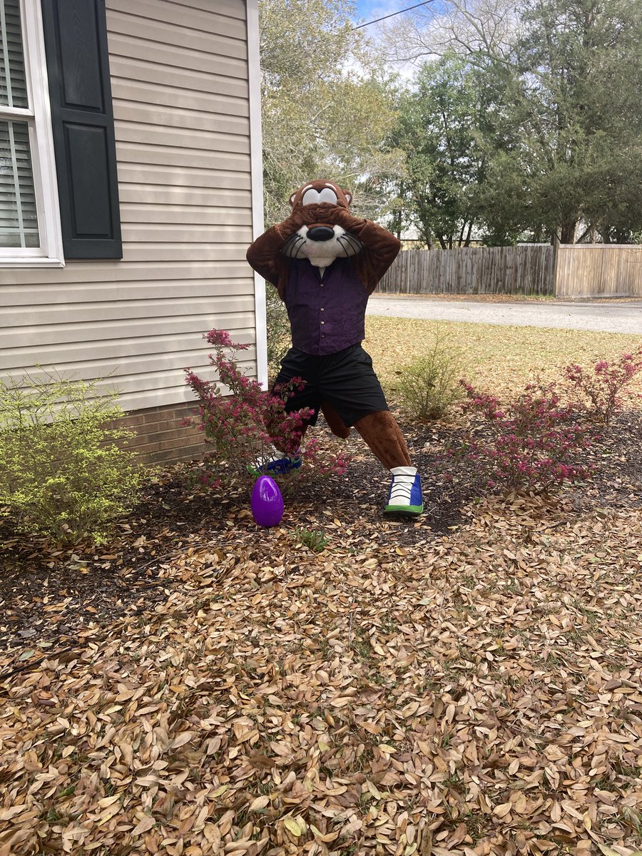 Olly Otter ❇️ tweet media