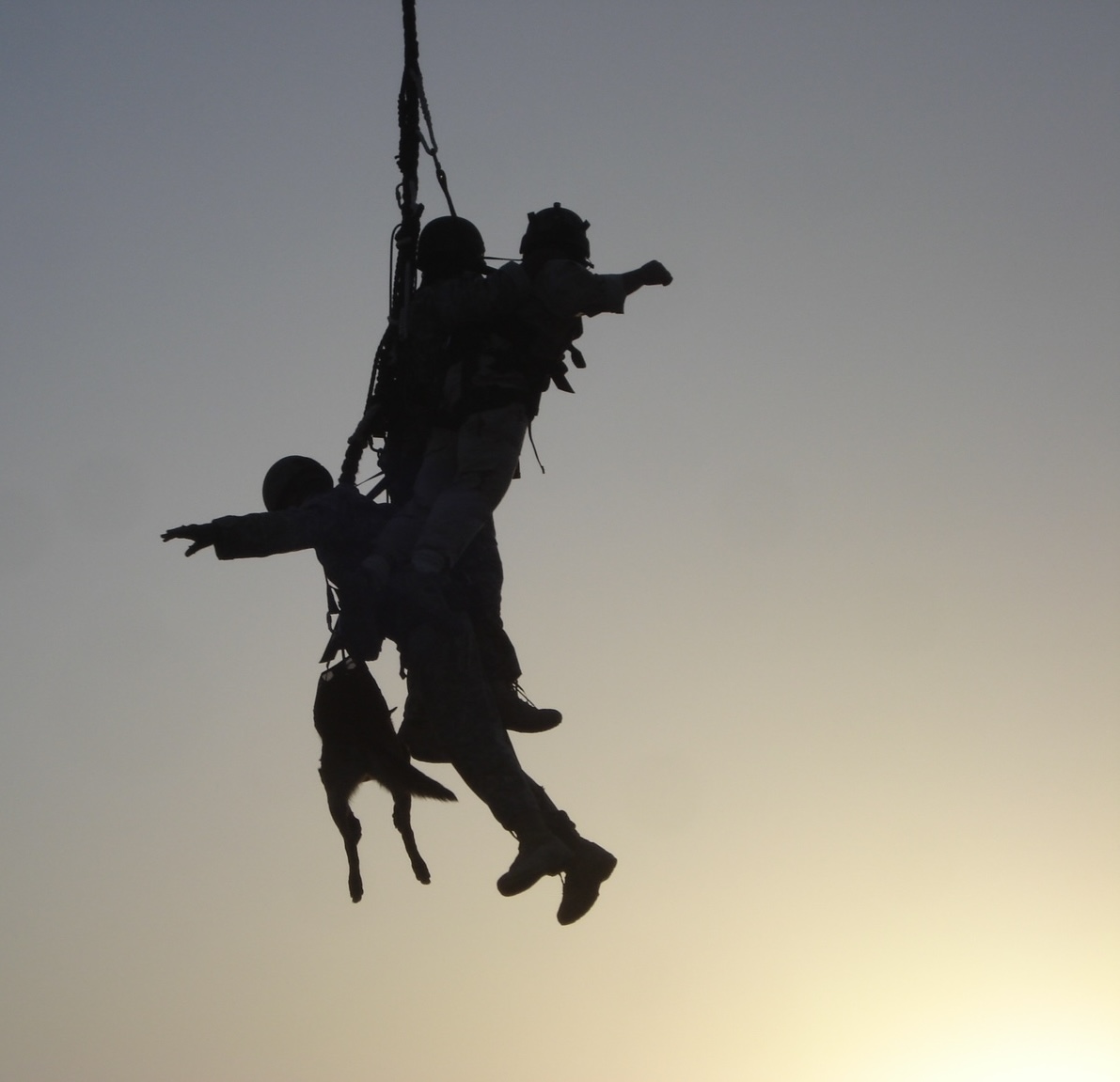 Semper Fi & America's Fund tweet media