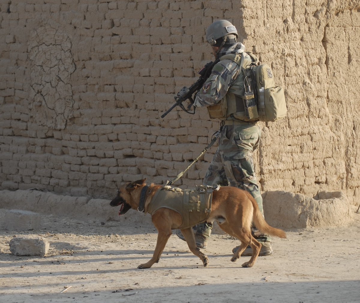 Semper Fi & America's Fund tweet media