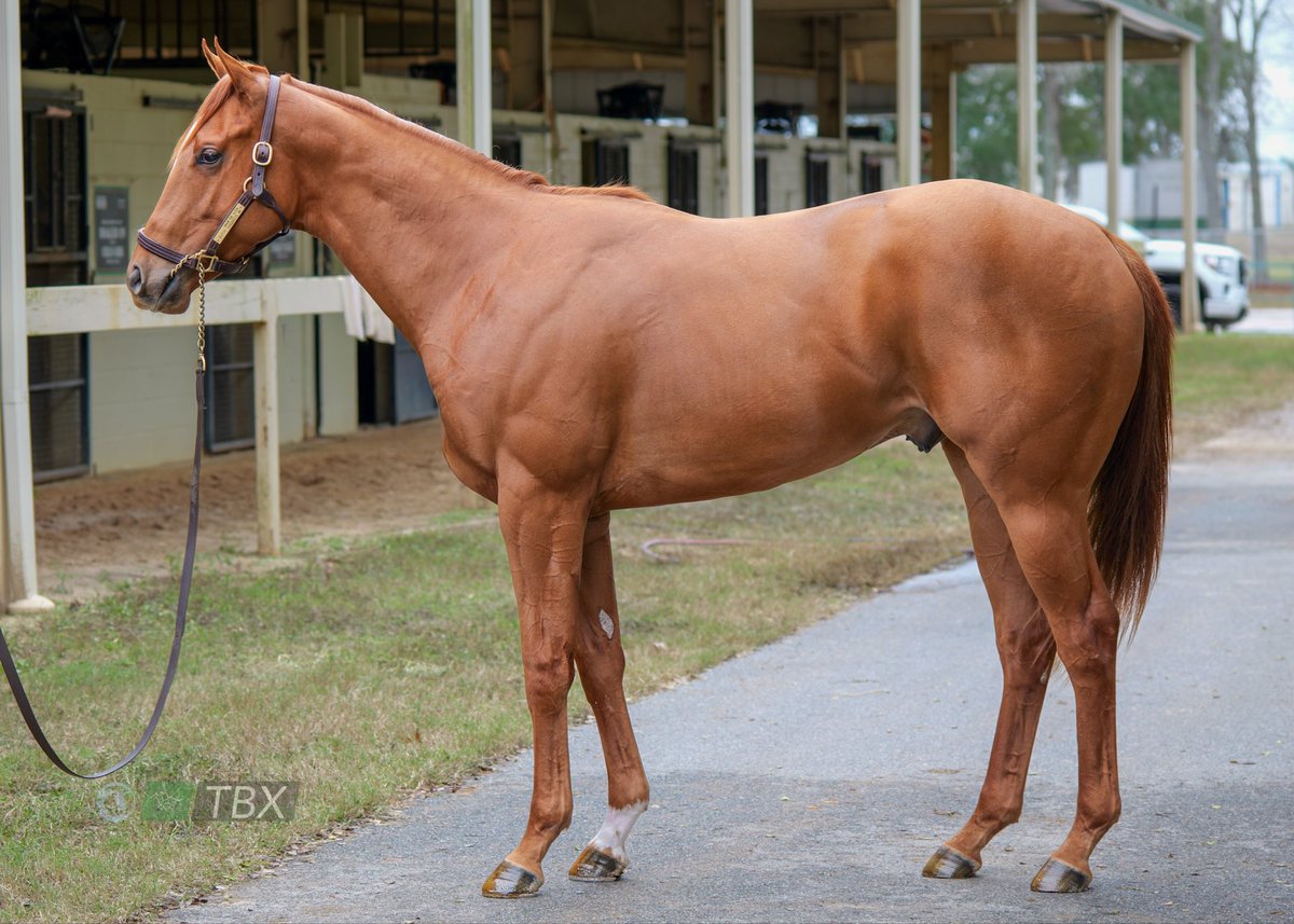 Justify👑 tweet media