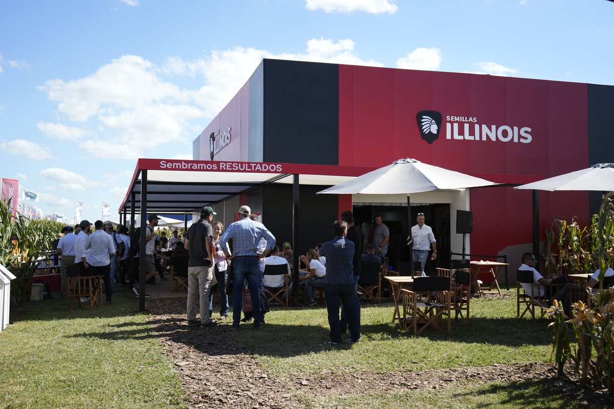 Semillas ILLINOIS tweet media