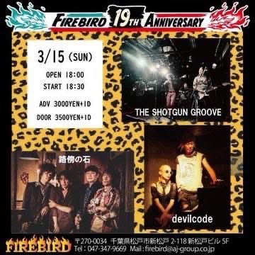 THE SHOTGUN GROOVE tweet media