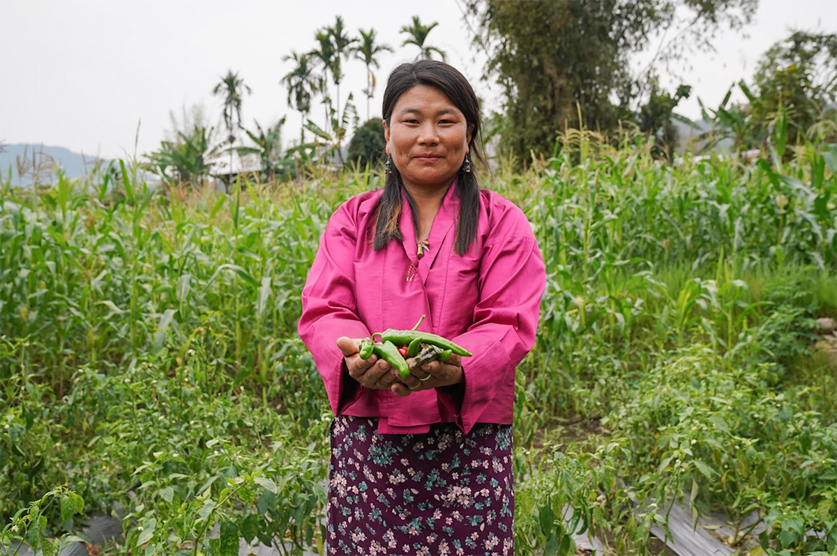 UNDP in Asia and the Pacific tweet media