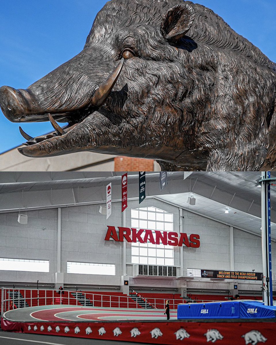 Wake TF/XC tweet media