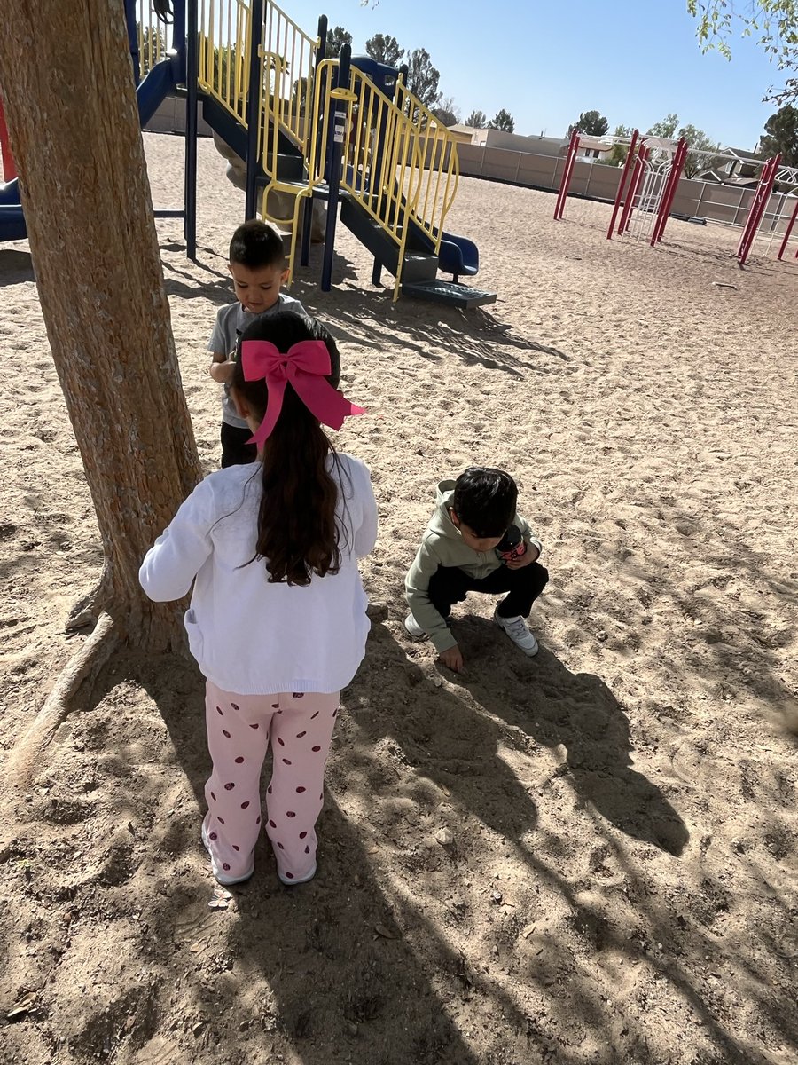 vaviles01's tweet photo. Twisting into our last adventure! ESL Academy students went on a “buggy” hunt. What a wonderful way to end our bugs theme week!  #patriotpride https://t.co/ZelE7kSKiv