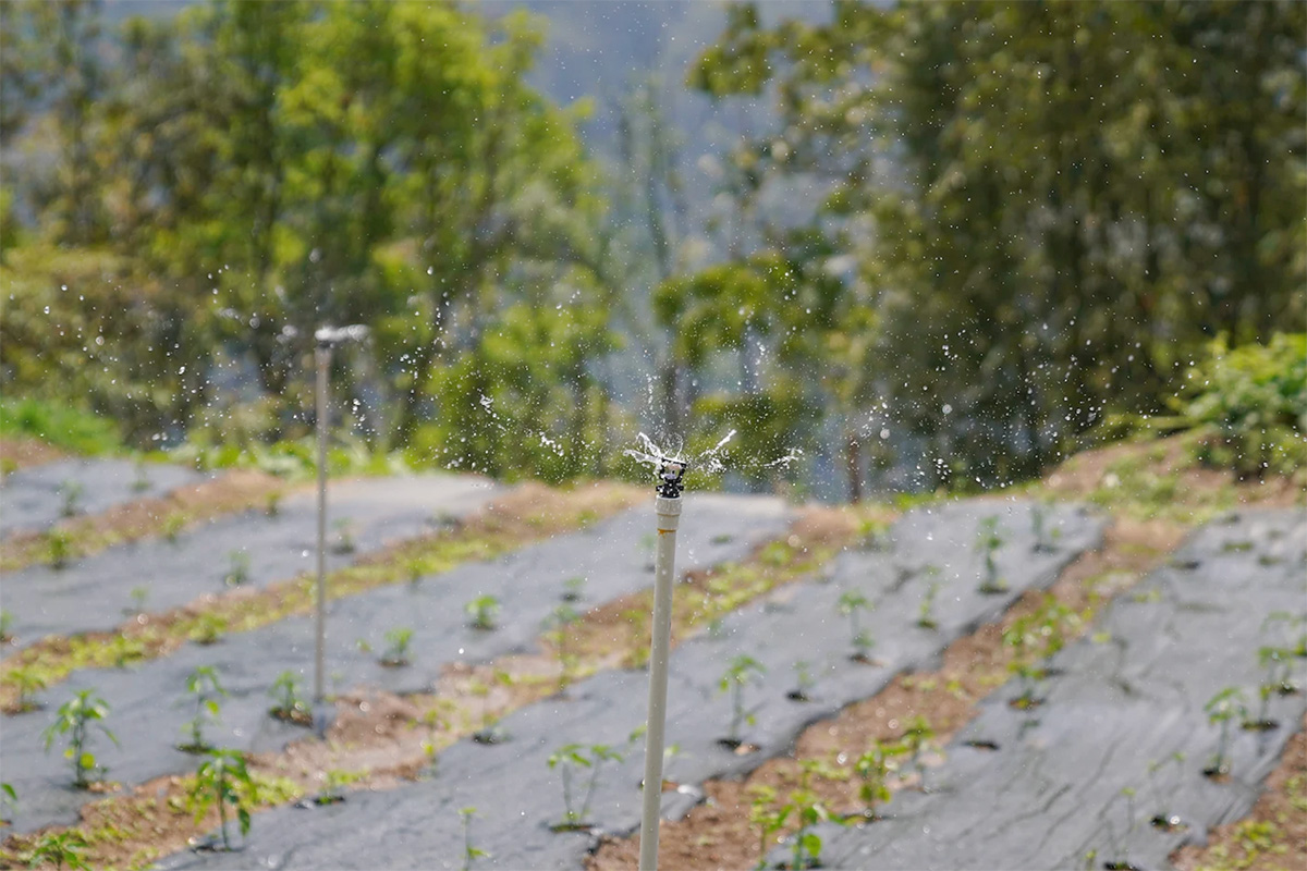 UNDP in Asia and the Pacific tweet media