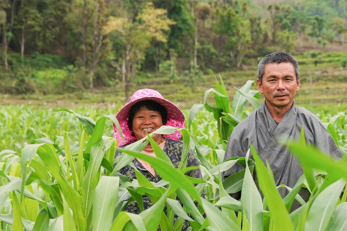 UNDP in Asia and the Pacific tweet media