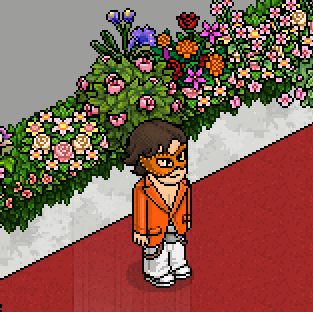 KanHB 🖤 tweet media