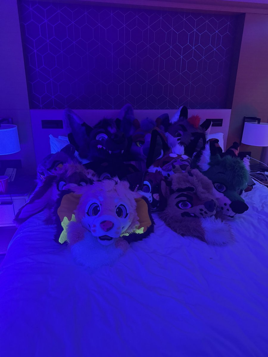 LemonHoneyMutt 🔜FWA tweet media