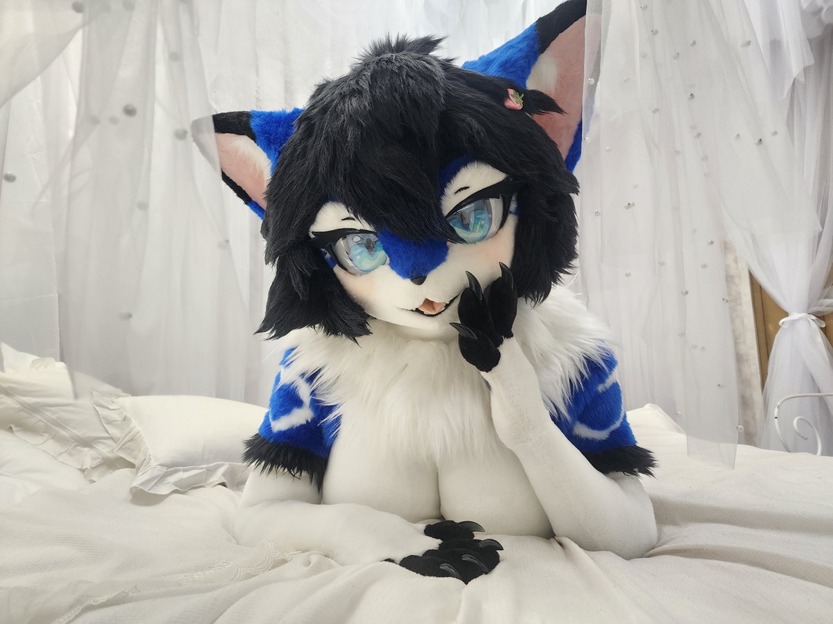 Garasaki@けもケットF-57 tweet media