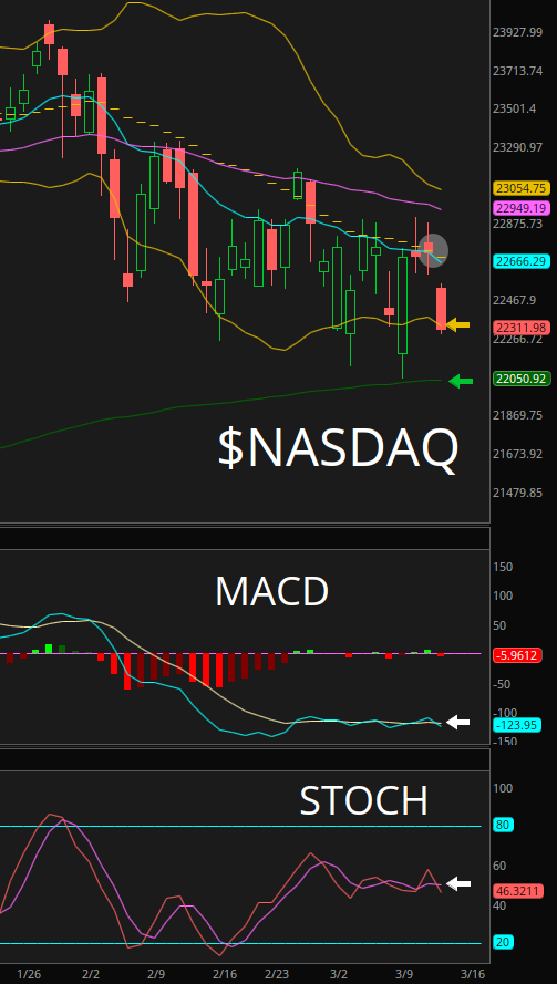 ChartingKatrina❤️🔥🎀 tweet media