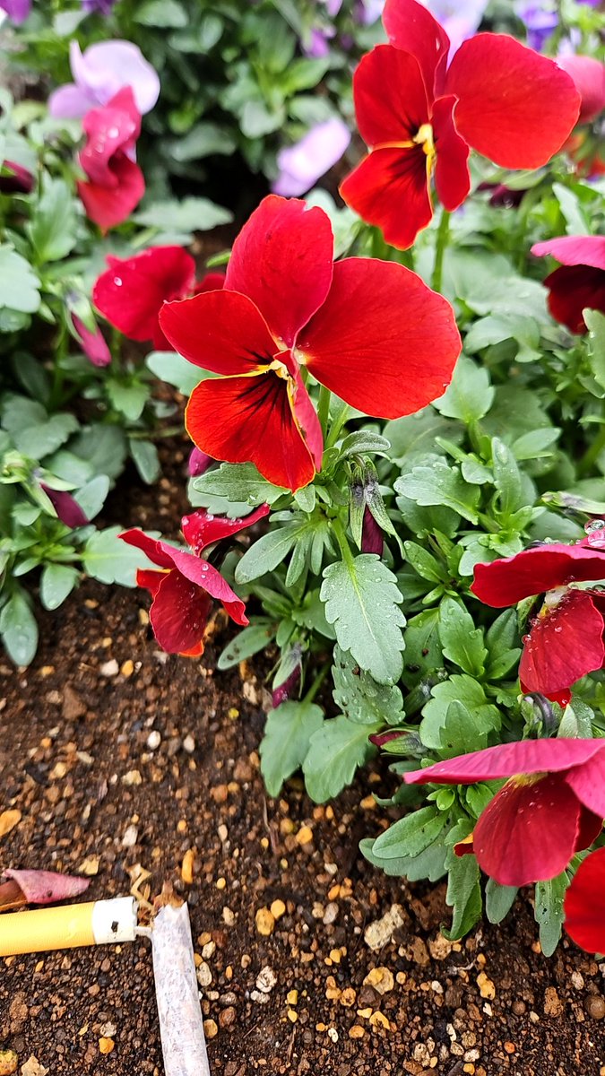 阿部博明 tweet media