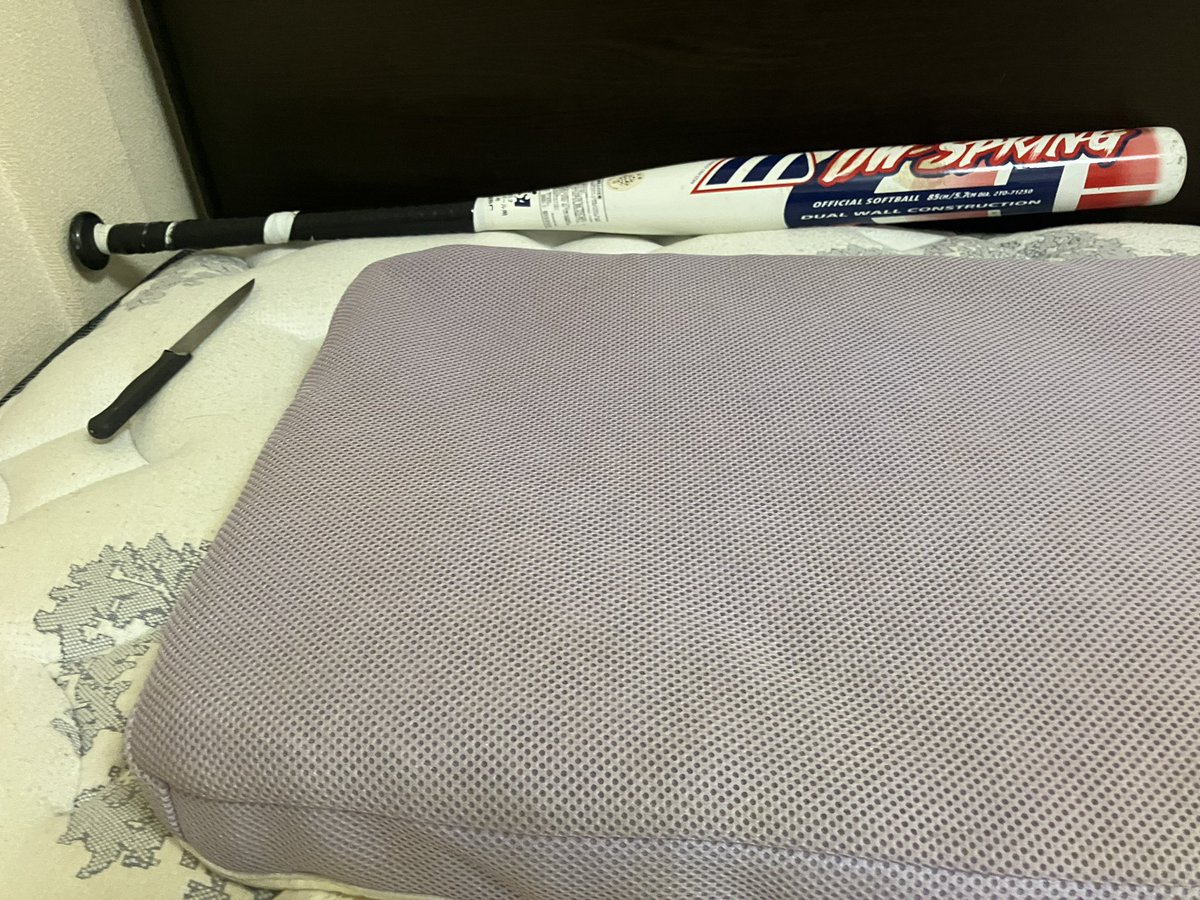 たぬき tweet media