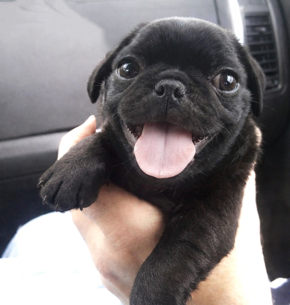 Vimerꗞ tweet media