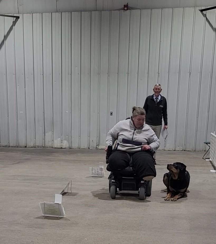 Team Servicerottie🇨🇦🐕🦺🦽 tweet media