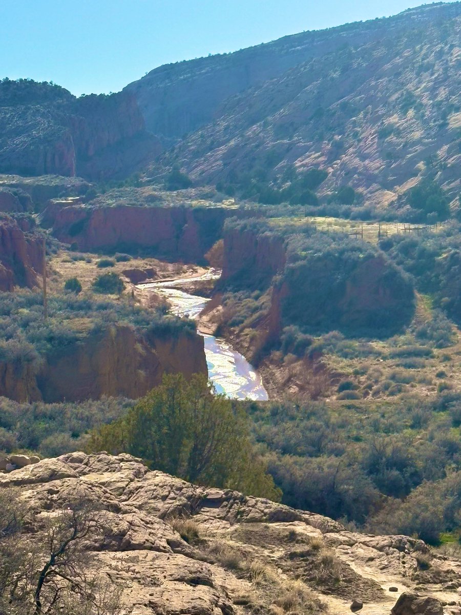 💓Kali tweet media