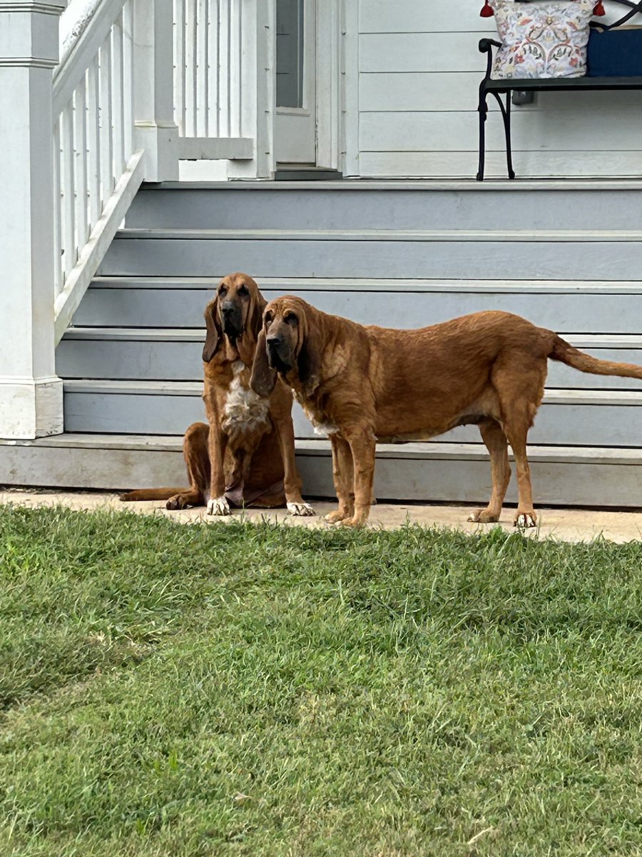 GT 
Dog gone. 😵‍💫😳😭 Sure I was at Clemson tonight. Or could watch it
TV 😳😳😳😳 GO JACKETS