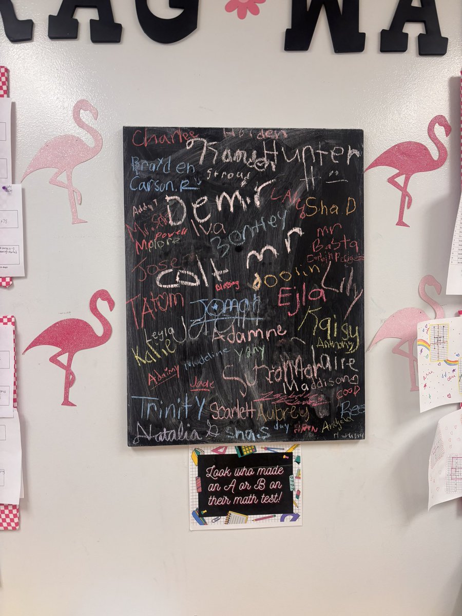 The Spartans rocked Scatter Plots!