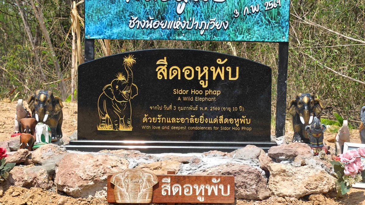paichewee65779's tweet photo. สวยมากค่ะ ป้ายบอกเจ้าของบ้าน ใครมารุกรานถือว่าไม่ให้เกียรติเจ้าบ้าน ดังนั้นแล้วกรุณาอย่ามารบกวนถ้าใจไม่ได้รักกัน คนรักกันเขาจะมาแบบเพื่อนบ้านที่ดีต่อกัน https://t.co/RsNp7ASpzE