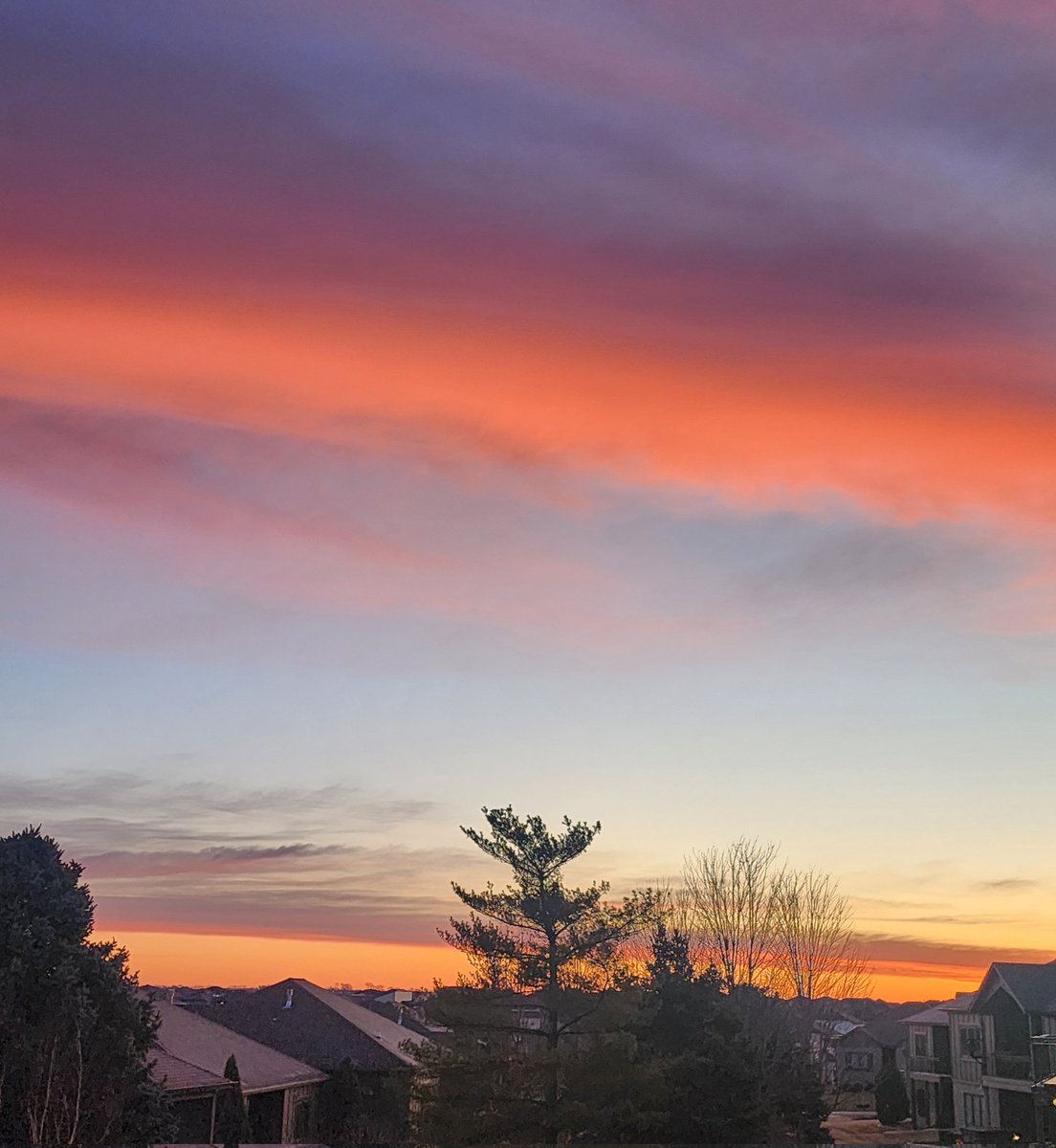 wishapickmmallen tweet media