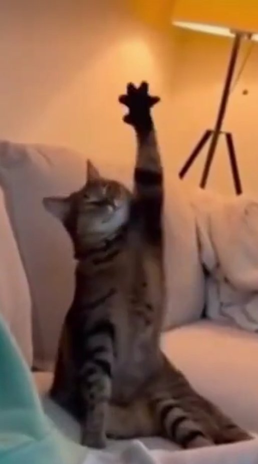 Mary House tweet media