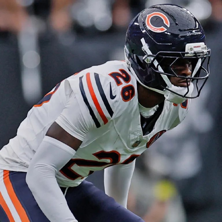 Bears Nation tweet media