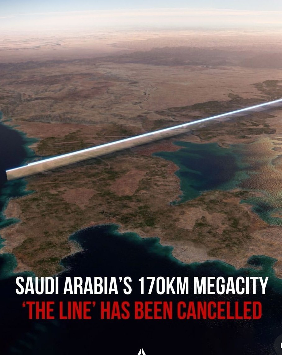 guànjūn 🐐 tweet media