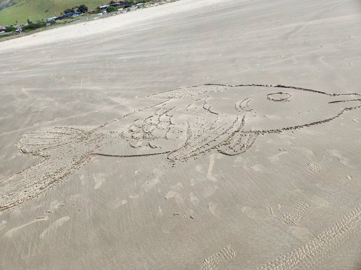 OrangeZeppelin tweet media