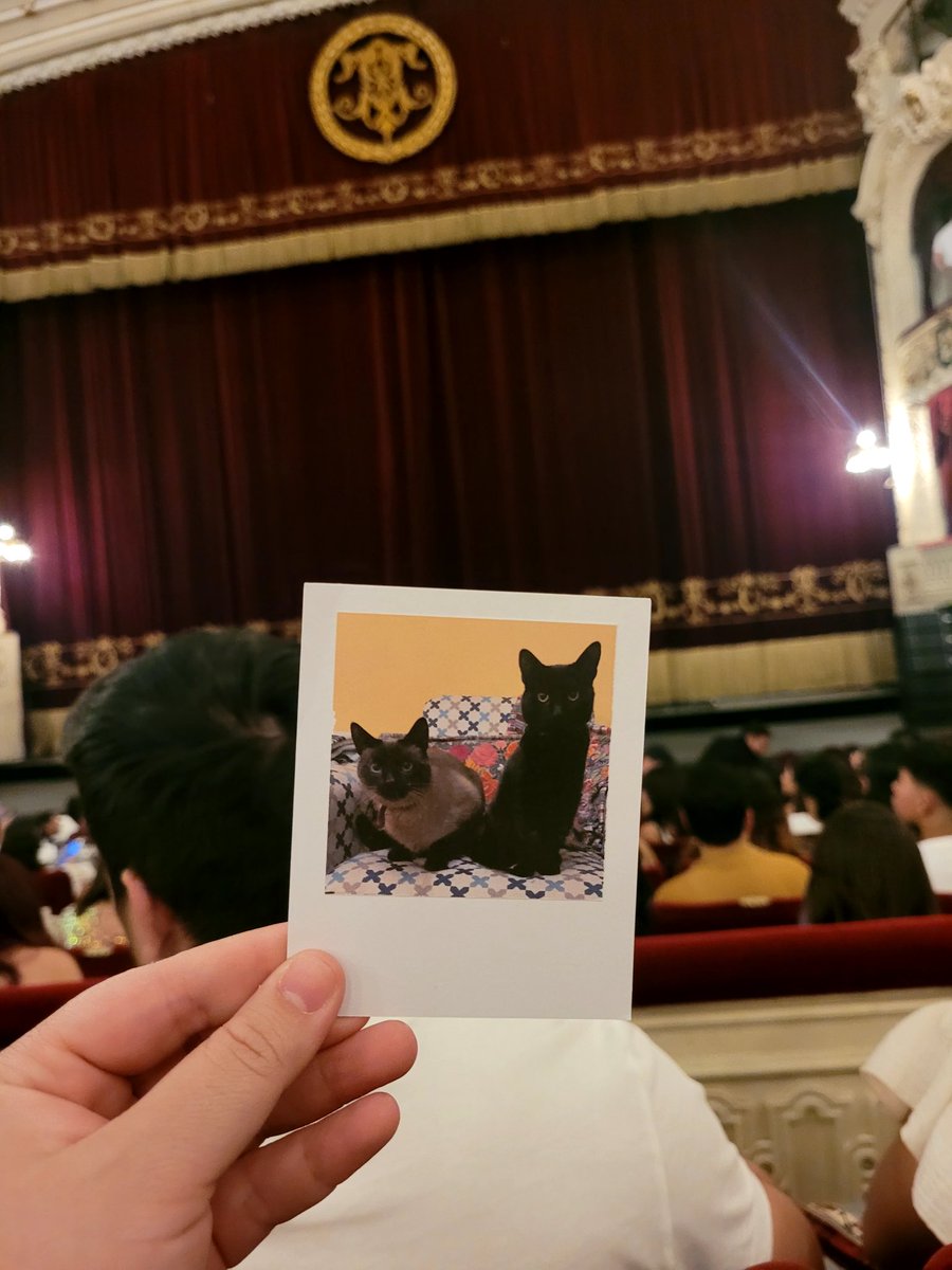 JAVi.🚀 tweet media