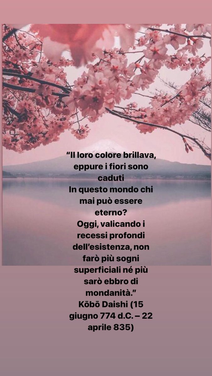 Tea Pecunia tweet media