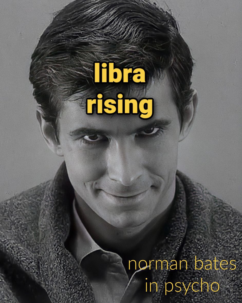 dumbdumb tweet media