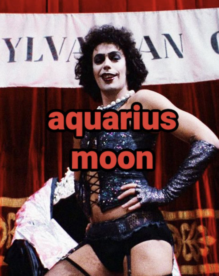 dumbdumb tweet media