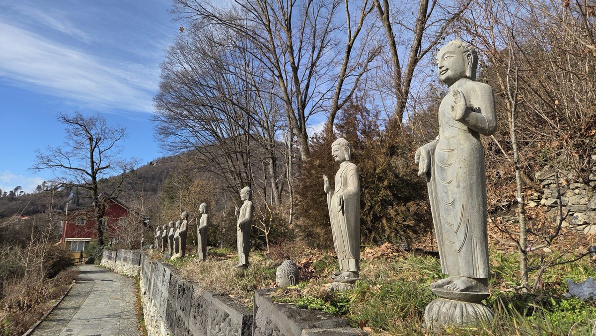Entretien avec Lama Michel Rinpoche, 3e partie (sur 4) : « Union des visions bouddhiste et scientifique » #Bouddhisme #CentresKunpenLamaGangchen #LamaMichelRinpoche #Philosophie #PhysiqueQuantique #PointDeVue #Science #Spiritualité pressenza.com/fr/2026/03/ent…