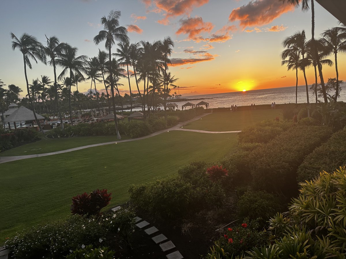 Robert Hammen tweet media