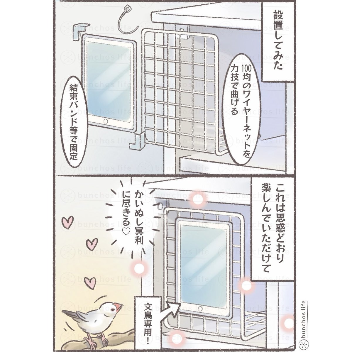 文鳥マンション301号室にタブレットを設置✨
#文鳥 
#4コマ漫画 