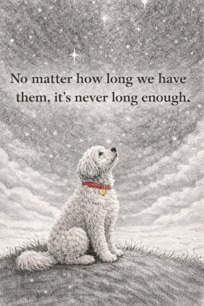 Puppies 🐶 tweet media