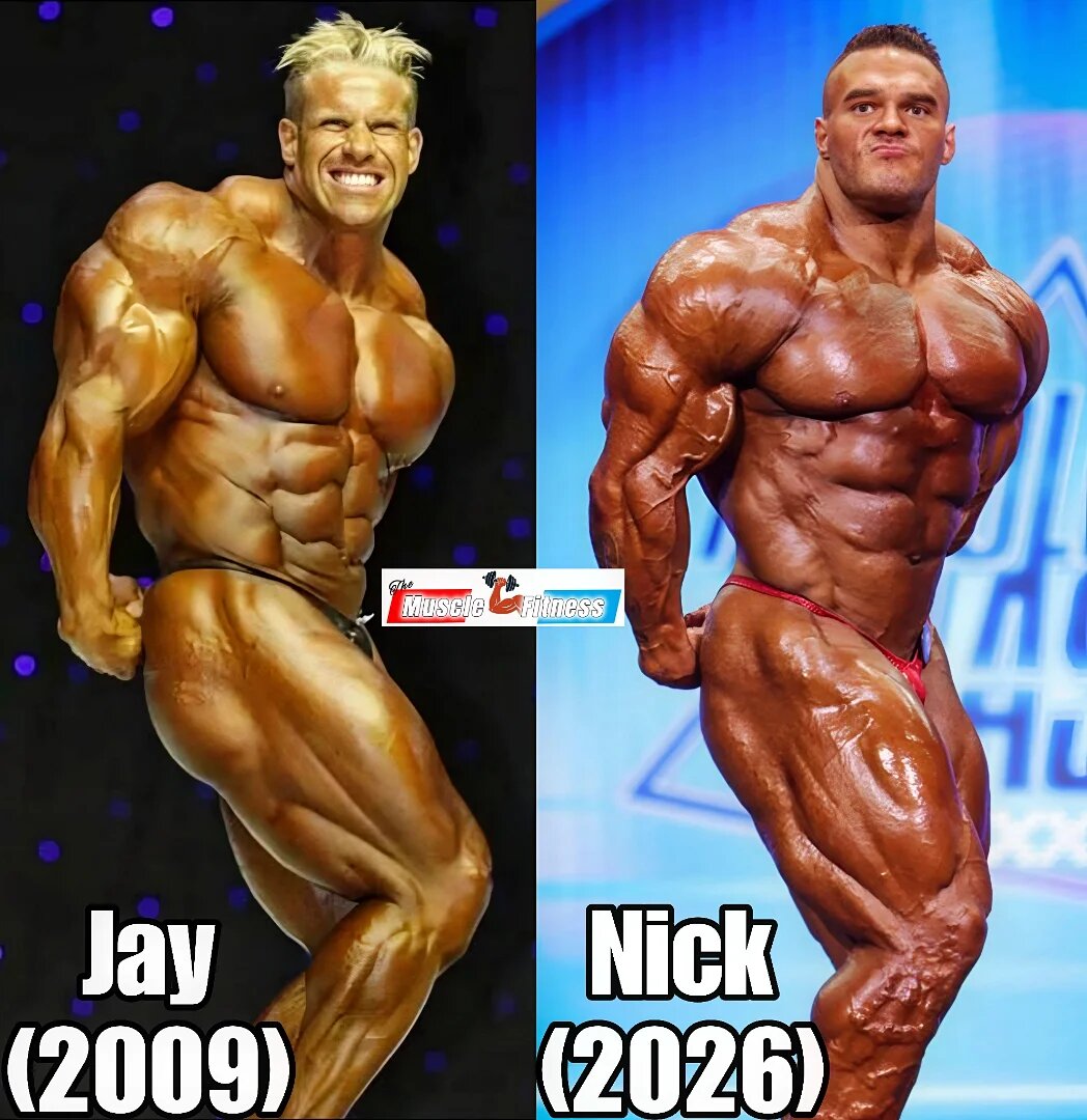 Muscles Anarchy tweet media